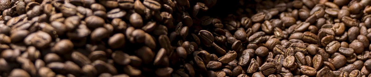 Close-up of roasted coffee beans in dark brown tones, with shallow depth of field creating a soft blur around the edges.