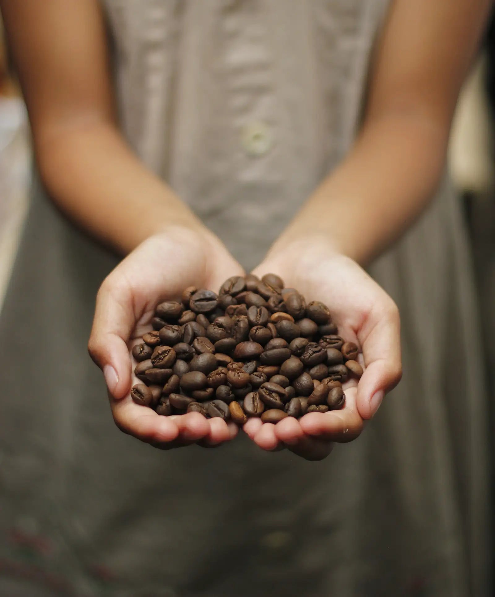 A close-up of a person's hands holding a small pile of roasted coffee beans, with a soft-focus view of their neutral-toned dress in the background.