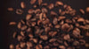 Coffee Bean Video